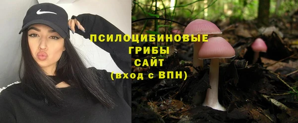 spice Бугульма