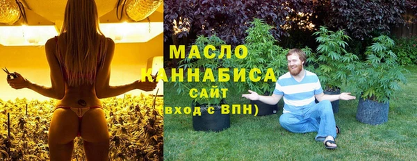 спиды Бородино