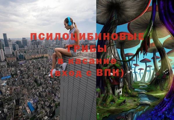 спиды Бородино