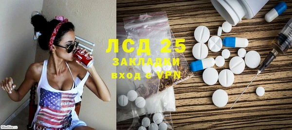 спиды Бородино
