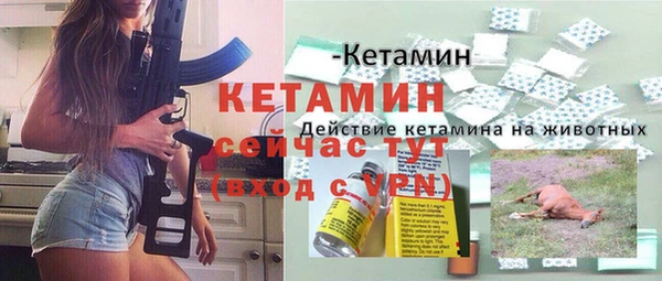 спиды Бородино