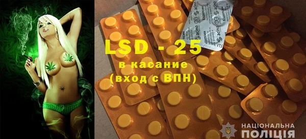 спиды Бородино