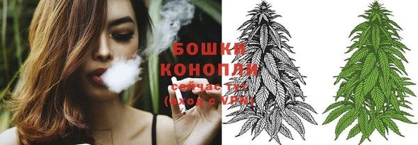 спиды Бородино
