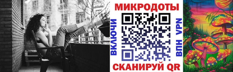 где найти Казань blacksprut ССЫЛКА Галлюциногенные грибы Psilocybine cubensis